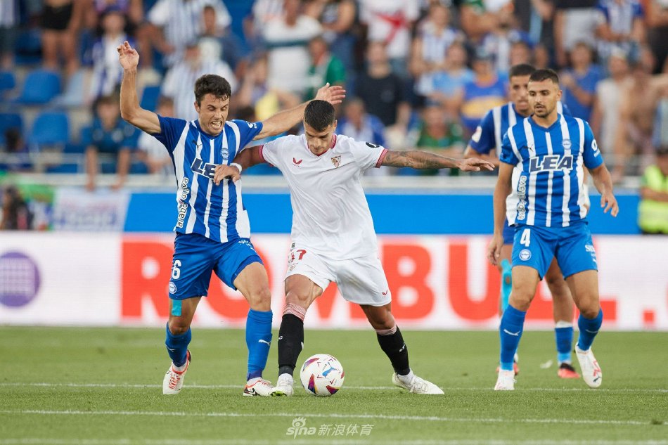 北极羽毛球 北极羽毛球